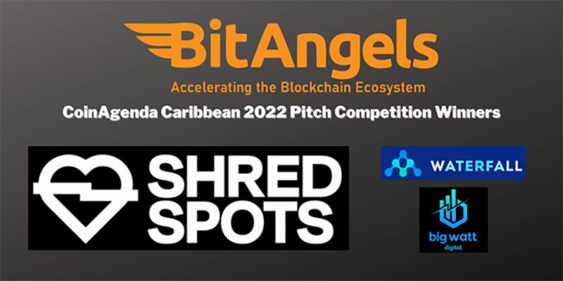 BitAngels Announces ‘Best in Show’ of Companies Innovating Web3 and Blockchain