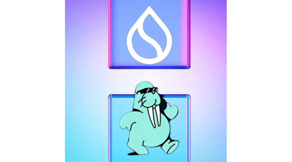 ​SUI Sessions - Chicago 2025 Kickoff with Walrus